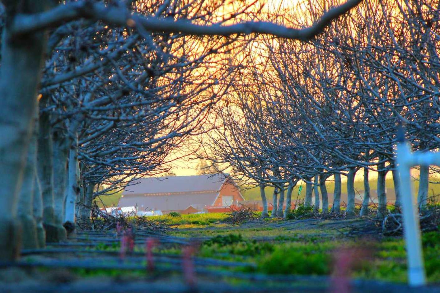 Vel nulla dignissimos minima asperiores non repellat eaque libero